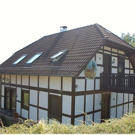 Apartment Edersee Fuer 4 Personen Frankenau Buitenkant foto